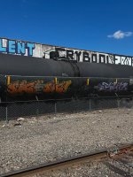 IMG_3979.jpeg
