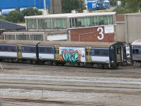 IMG_3836.jpeg