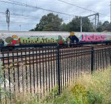 IMG_4225.jpeg