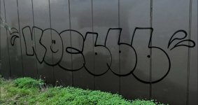 att.vfDFaj7pdP5QWIQ4uoqM8dXwIUkznNPdDkCk--mNxGc.jpeg