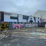 IMG_4163.jpeg