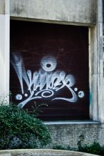 IMG_4343.jpeg