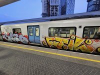 IMG_4595.jpeg