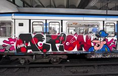 IMG_4470.jpeg