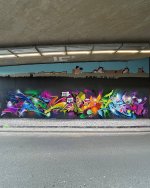 IMG_4737.jpeg