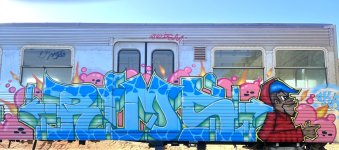 IMG_4774.jpeg