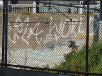 IMG_5070.jpeg