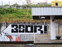 esor_tracksides_roller2.jpg