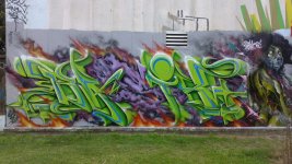 IMG_6079.jpeg