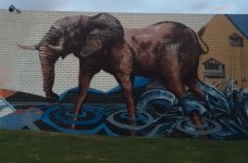 IMG_6096.jpeg
