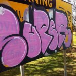IMG_6131.jpeg