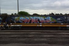 IMG_6143.jpeg