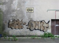 IMG_6145.jpeg