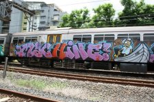 IMG_6151.jpeg