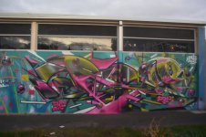 IMG_6172.jpeg
