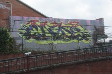 IMG_6173.jpeg