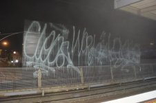 IMG_6174.jpeg