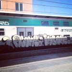 IMG_0567.jpeg