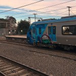 IMG_0733.jpeg