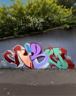 IMG_2626.jpeg