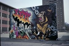 IMG_0912.jpeg