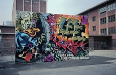 IMG_0911.jpeg