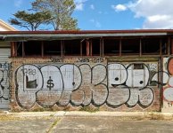 IMG_1131.jpeg