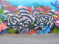 IMG_1429.jpeg