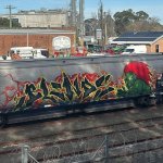 IMG_1741.jpeg