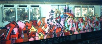 IMG_0914.jpeg