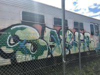 IMG_1799.jpeg