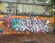 IMG_2118.jpeg