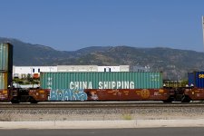 Freight_Train_Graffiti_-_SoCal_-_5-23-2020_(49928646623).jpg