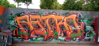 IMG_0893.jpeg
