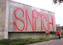 IMG_2463.jpeg