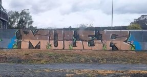 IMG_1704.jpeg