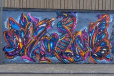 IMG_2184.jpeg