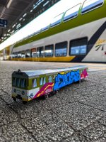 IMG_2178.jpeg