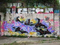 IMG_2619.jpeg