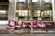 IMG_2602.jpeg
