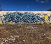 IMG_2950.jpeg