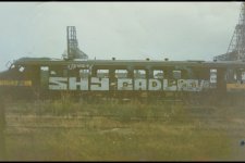 IMG_2537.jpeg