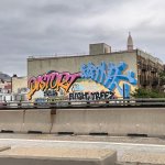 IMG_2923.jpeg