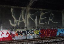 IMG_2713.jpeg