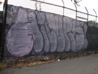 IMG_3147.jpeg
