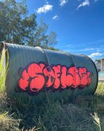 IMG_2926.jpeg