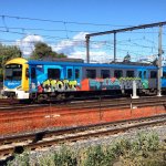 IMG_3178.jpeg