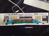 IMG_3202.jpeg