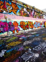 IMG_3161.jpeg