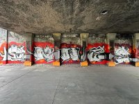 IMG_3467.jpeg